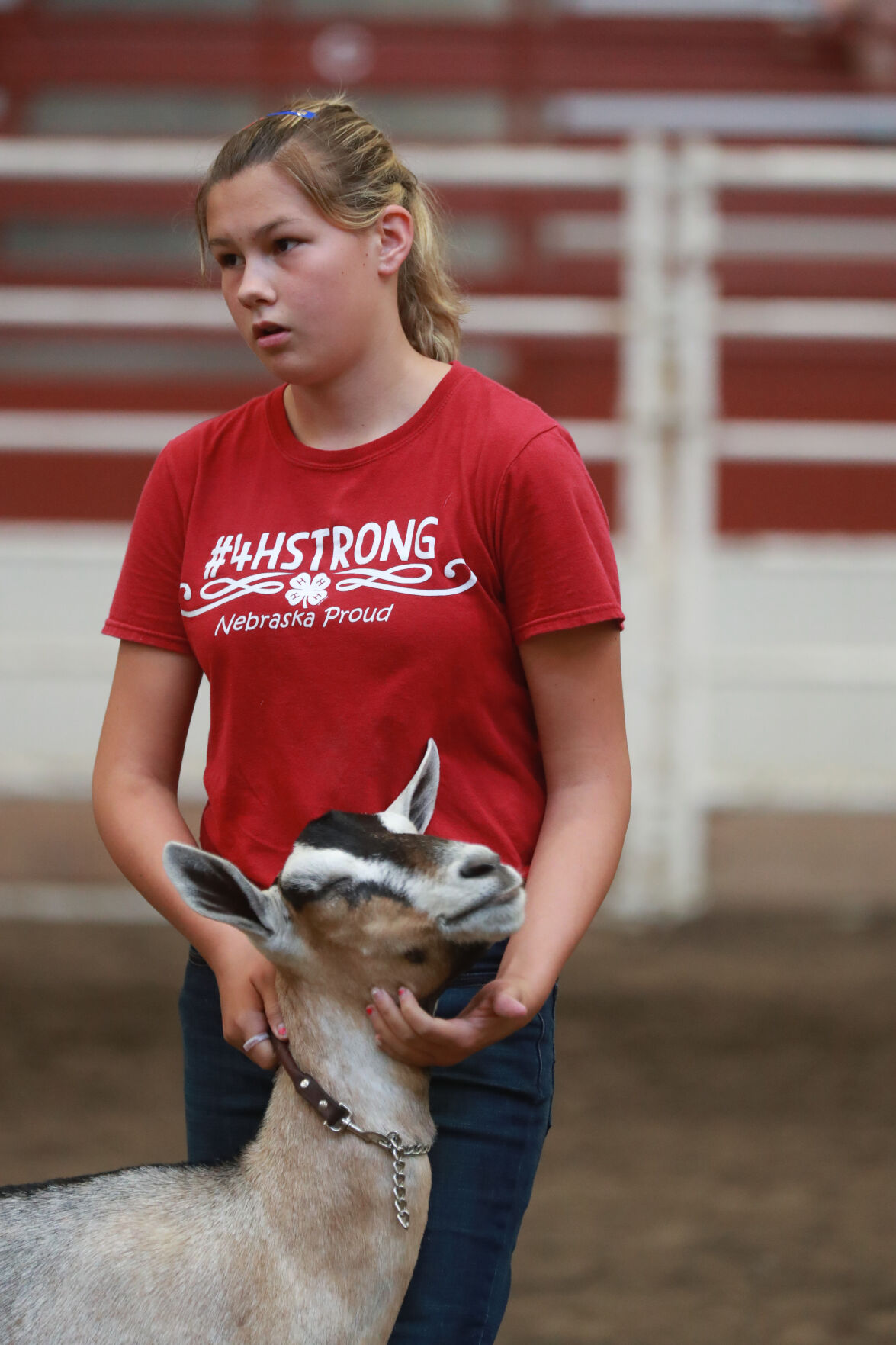 072320_HCFGoatShow009_bjs.JPG